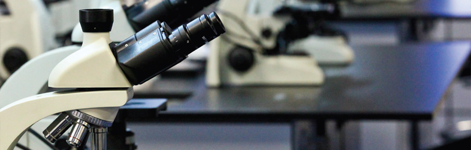 medlab Services