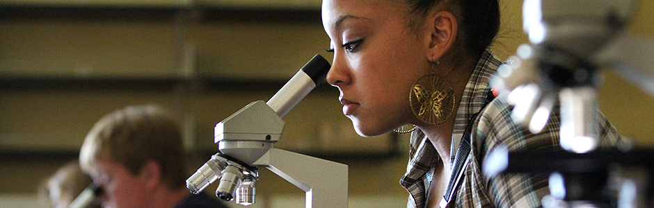 medlab Educational